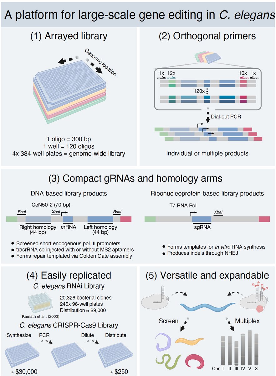 Christian Froekjaer Jensen tweet media