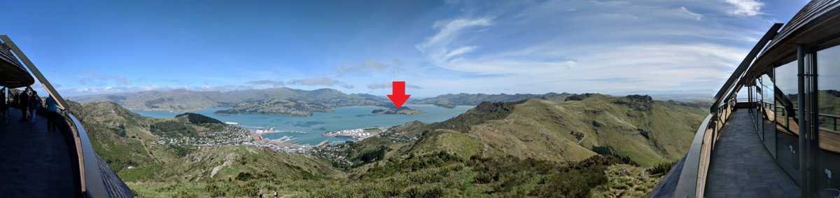 It's 'Islands' Themed Week over at @PanoPhotos and here's my contribution for Day 4! Taken from the Christchurch Gondola station at the top of Mount Cavendish, this is a view of Lyttelton Harbour and within it is Quail or Ōtamahua island i.e. see the red arrow in the #panorama.