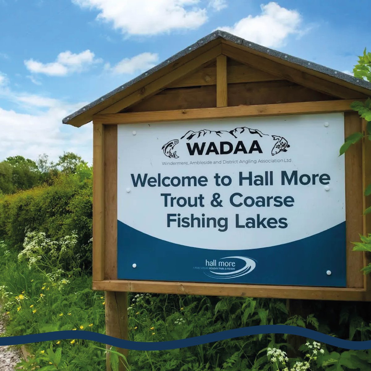 Hall More Holiday Park is situated in a typical farm setting amongst 10 acres of meadow and woodland! 

A Hemsworth is available to purchase here too! Is this the park and holiday home for you? 🌟

omar.co.uk/park/pure-leis…