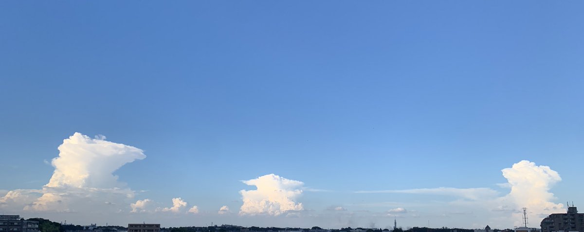 「ポンポンポンと個性の異なる3つの積雲。一つはかなとこ雲。 」|芦野公平 kohei ashinoのイラスト