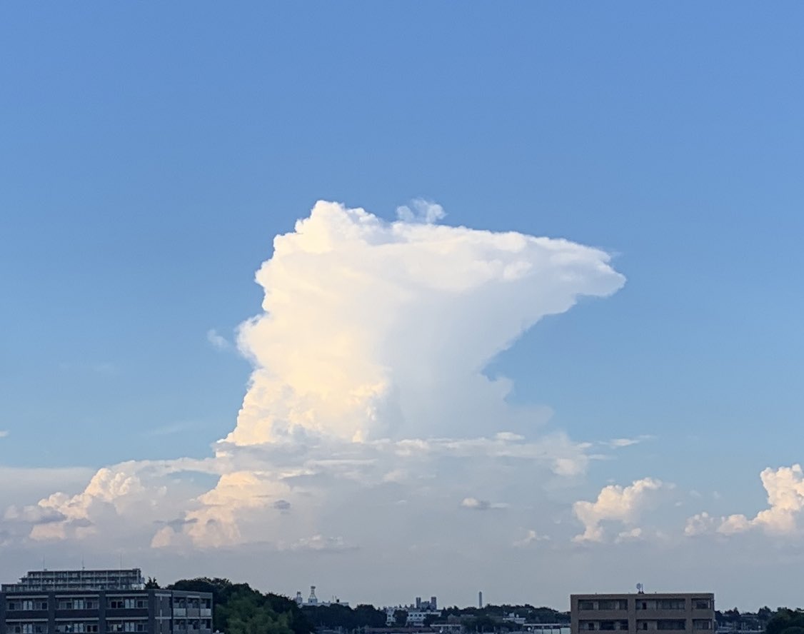 「ポンポンポンと個性の異なる3つの積雲。一つはかなとこ雲。 」|芦野公平 kohei ashinoのイラスト
