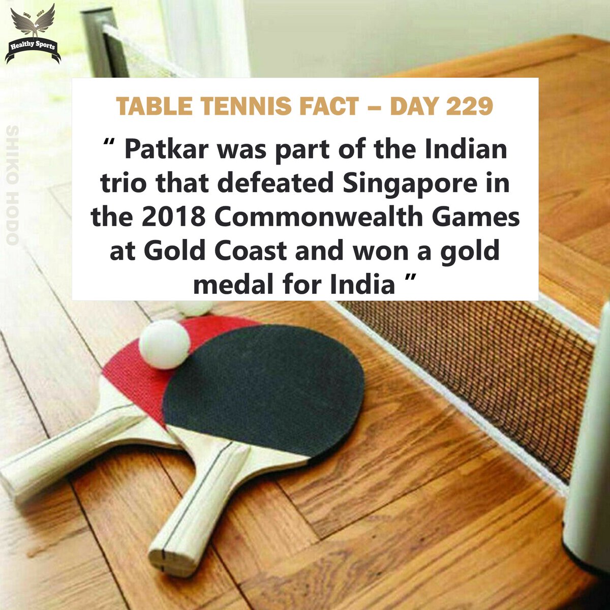 gozzimma's tweet photo. Table Tennis Fact - Day 229
#tabletennis #pingpong #tabletennisplayer #sport #ittf #tabletennistraining #tabletenniscoach #pingpongtable #tabletennisteam #Gozzimma #KnowmorefactsaboutTT #madhurika #madhurikapatkar #madhurikatabletennis #madhurikattplayer #tabletennisdaily https://t.co/Wufr30psWq