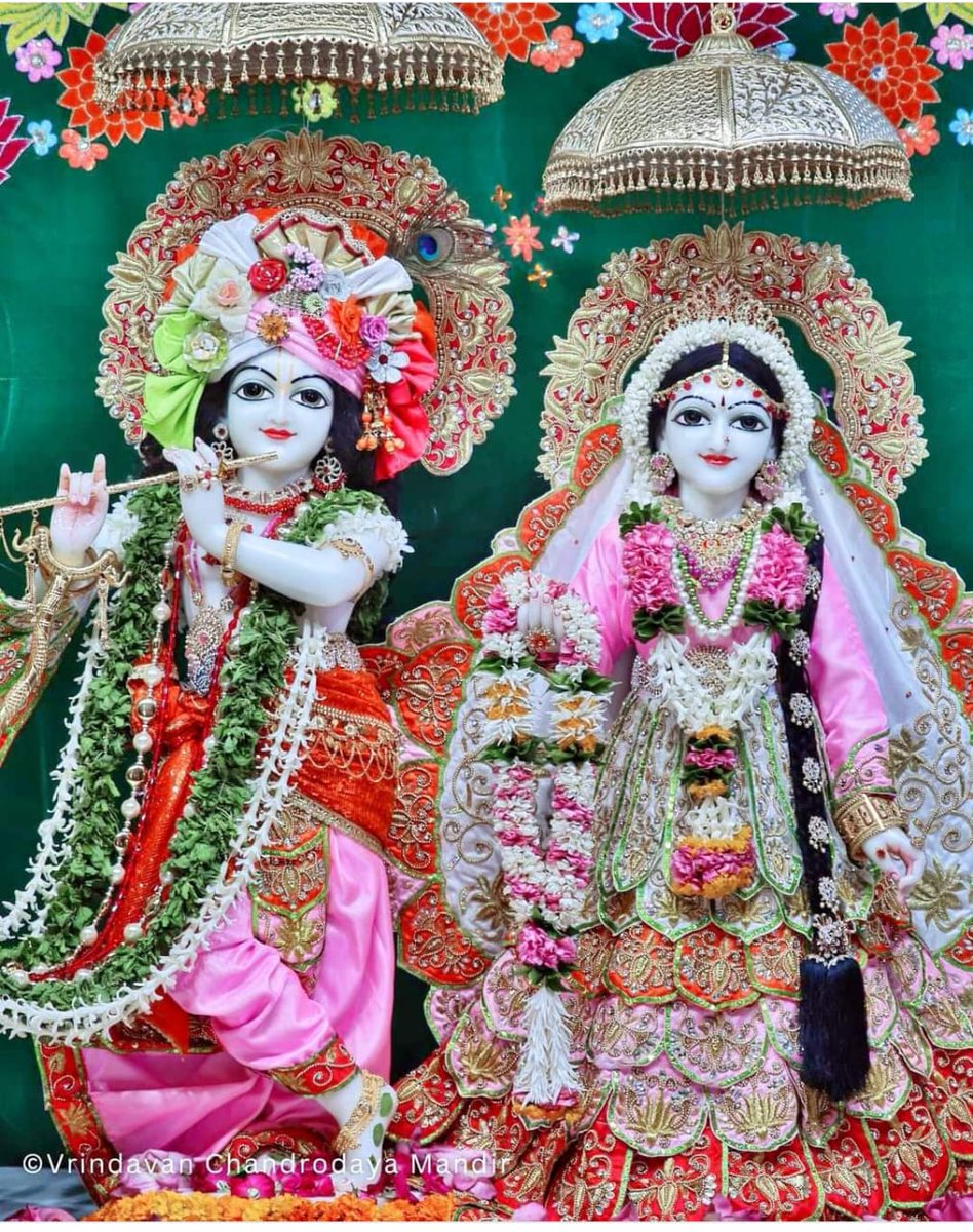 Dilipshuklabjp's tweet photo. 🚩🚩🙏 जय श्री राधे कृष्णा 🙏🚩🚩 https://t.co/sxu8vd1Pm5