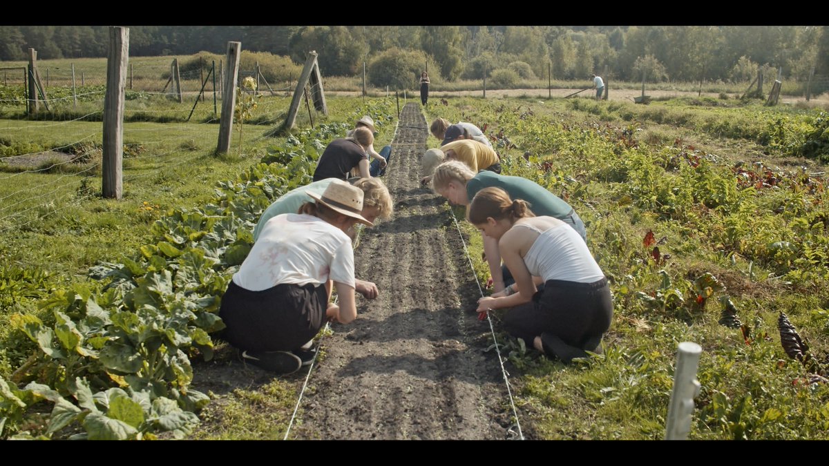 15º ACAMPADOC tweet media