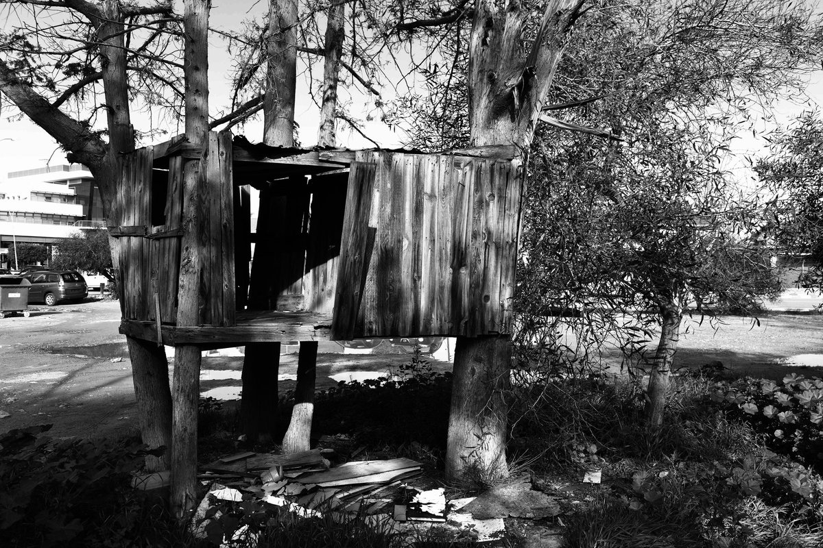 KouratzisStef's tweet photo. Tree house 
#Nicosia #Cyprus #Kouratzis #streetphotography  #fineartphotography #blackandwhite #architecture https://t.co/N8cVCt5ONr