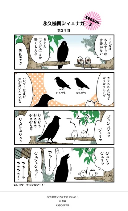 【✨隔週 月～金/Season3 配信中✨】  

あざといシマエナガと賢いカラス 
第34羽 

#シマエナガとカラスさん 
#永久機関シマエナガ
#漫画が読めるハッシュタグ 