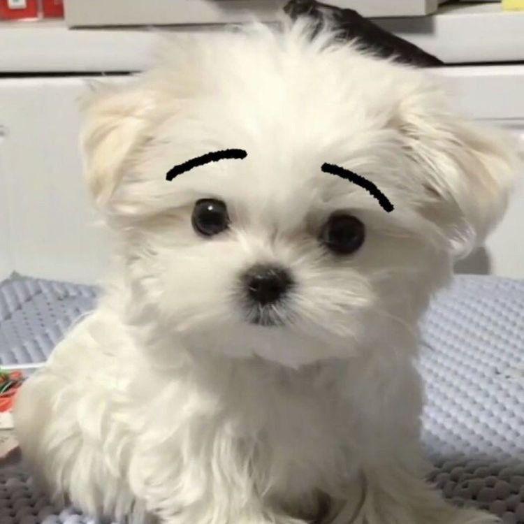 시무룩한범규.....