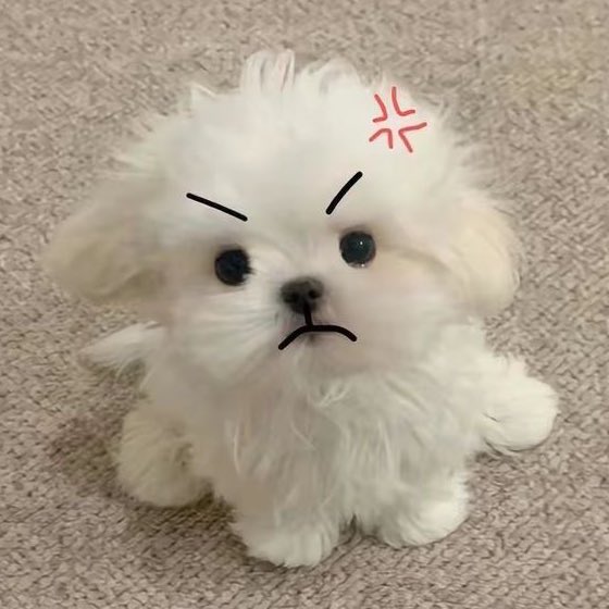 짜증이 난 범규...... (헉이거투두에서연주니가장난칠때범규닷)