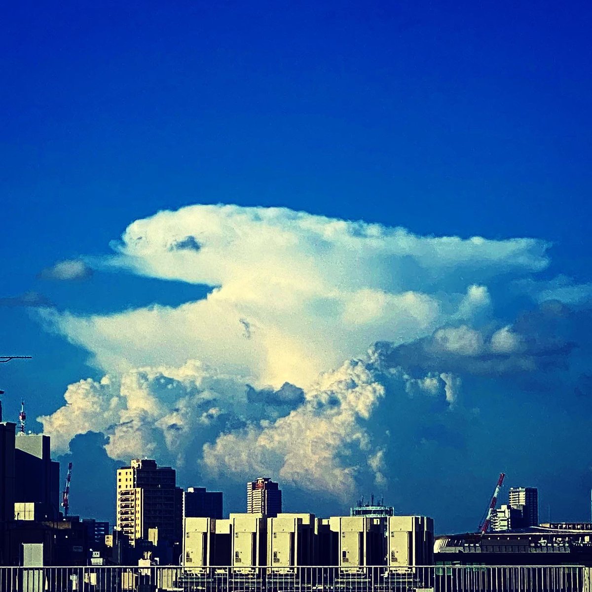 ginof355's tweet photo. 渋谷から見える！さいたまの方面の雲が凄いんだけど！別にゲリラ豪雨とかではないみたいだけどね！　#Tokyo #Resort #原宿 #神宮前 #表参道 #青山 #東京 #shibuya #渋谷 #Harajyuku #aoyama #積乱雲 #いまそら #omotesando #渋谷駅 #雲 #渋谷スクランブル交差点 #shibuyastation #ドコモタワー https://t.co/R8AKPJQvYY