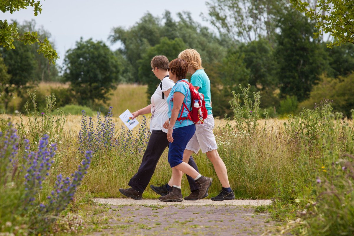 Hoeveel kilometer ga jij 27 augustus lopen tijdens de Elstars-Lingezegen Nazomertocht? 10? 15? Of misschien wel 25? 

parklingezegen.nl/agenda/elstars…