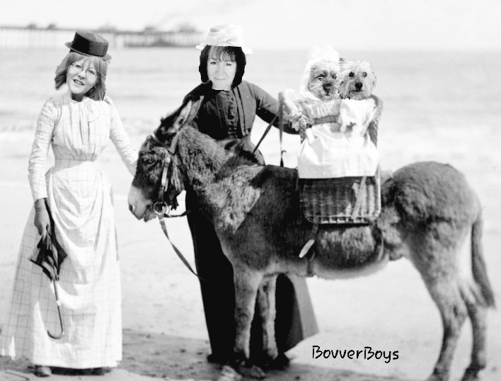 Throwback Thursday when our Muvver's took us for our first donkey ride on the beach.... #ThrowbackThursday #DonkeyRide @NormanTheCairn #BovverBoys