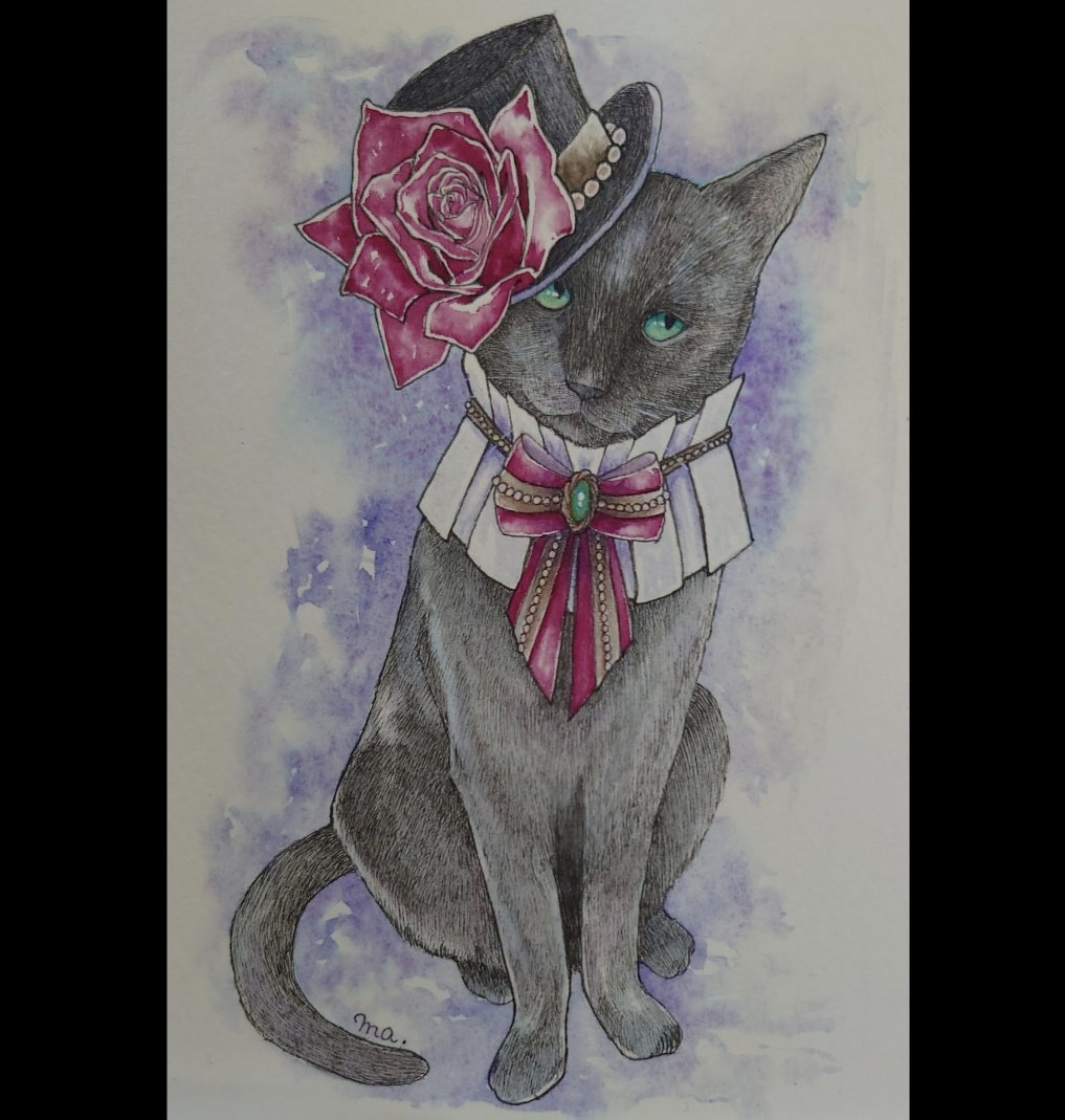no humans cat hat flower traditional media rose painting (medium)  illustration images