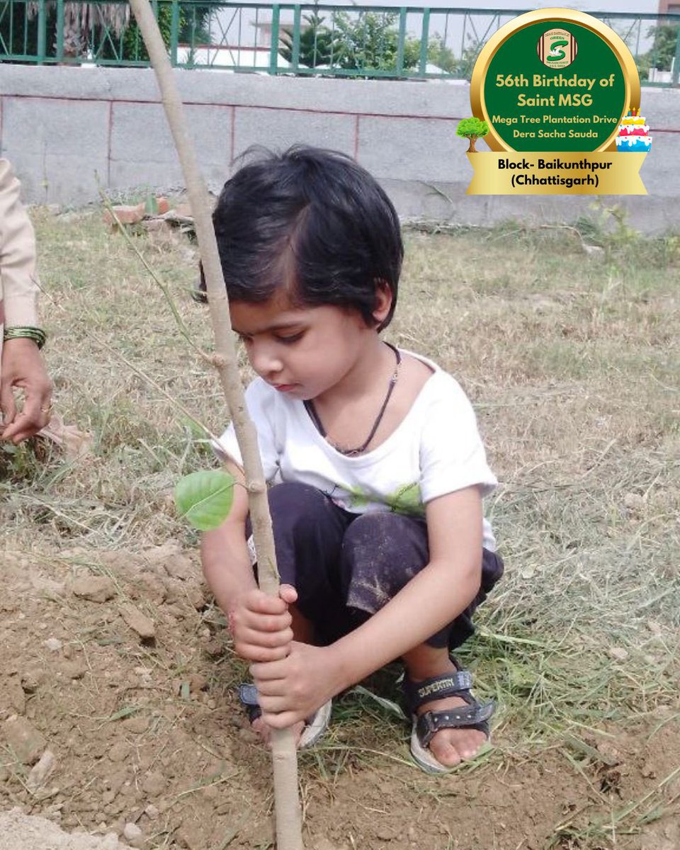 GreenSwelfares's tweet photo. Trees are important for the Earth and its environment, and for all life forms! The volunteers are celebrating MSG Bhandara by planting more trees. Indeed a beautiful way of celebration! 
#TreePlantation #SaintDrMSG #DeraSachaSauda #56thBirthdayOfSaintMSG #56thBirthdayWithTreePlantation #15thAugust