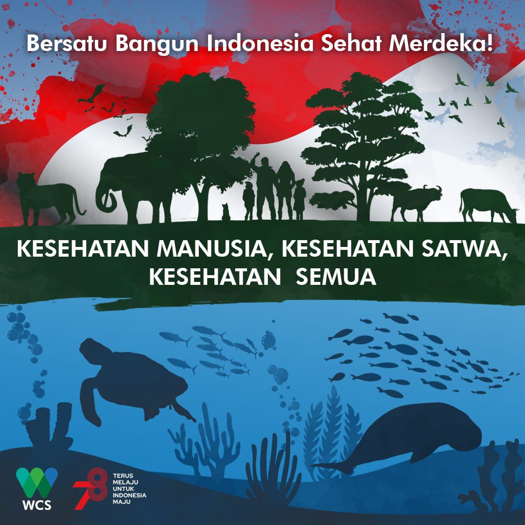 WCS Indonesia tweet media
