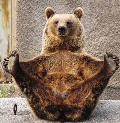 冬の星に生まれたら tweet media