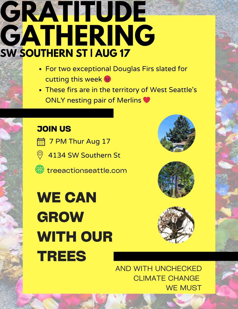 Dontclearcutseattle tweet media