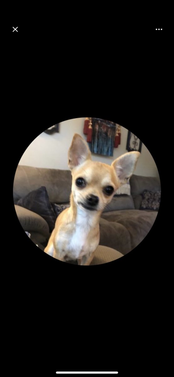 jeffBoals6's tweet photo. @msmith6745 @Jim_Jordan 😭😭😭😭😭why bother😭😭😭😭 https://t.co/3YdL7464CP