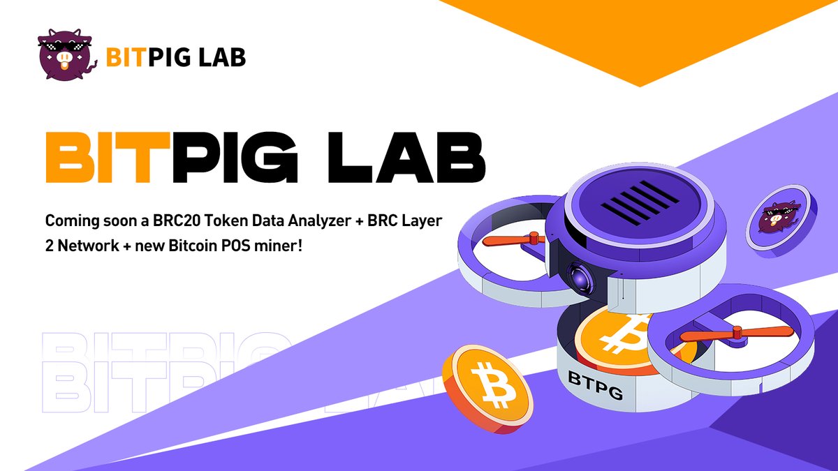 Bitonpig_'s tweet photo. As an early supporter of the BRC20 protocol, bitpig Lab will launch 
 📷BRC20 Token Data Analyzer 
 📷BRC layer 2 network
 📷new Bitcoin POS miner
#Bitcoin https://t.co/F4ekGiLmXD