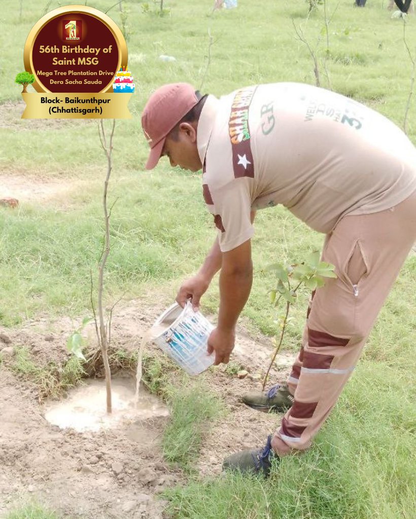 DSSNewsUpdates's tweet photo. Trees are important for the Earth and its environment, and for all life forms! The volunteers are celebrating MSG Bhandara by planting more trees. Indeed a beautiful way of celebration! 
#TreePlantation #SaintDrMSG #DeraSachaSauda #56thBirthdayOfSaintMSG #56thBirthdayWithTreePlantation #15thAugust