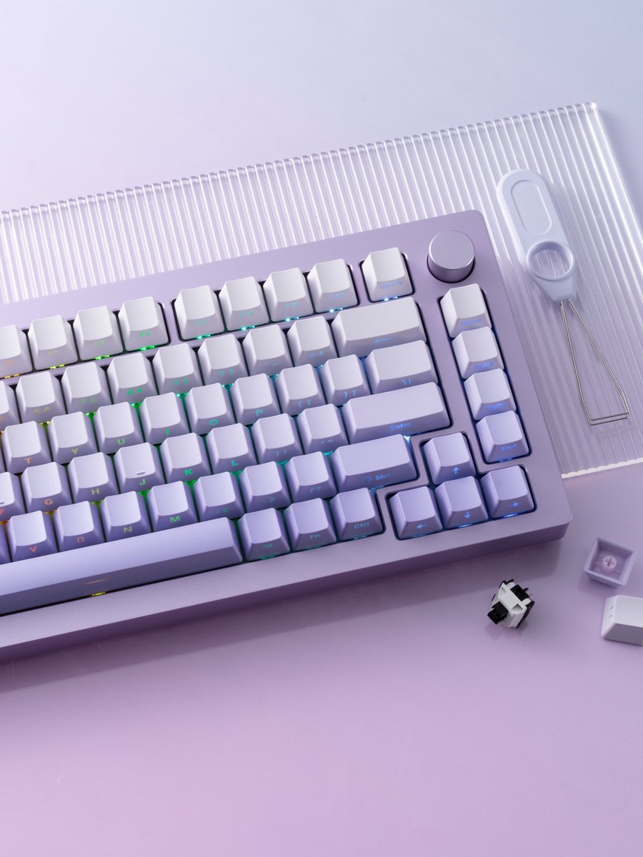 akkogear_de's tweet image. MonsGeek M1W SP Fully Assembled Purple! Featuring white-to-purple shades and unique side-printed shine-through gradient keycaps.
How about grabbing one to elevate your desk setup?

#monsgeek #monsgeekm1w #m1w #m1wkeyboard #wirelesskeyboard #mechanicalkeyboards #pcsetup