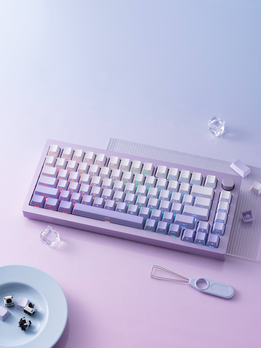 akkogear_de's tweet image. MonsGeek M1W SP Fully Assembled Purple! Featuring white-to-purple shades and unique side-printed shine-through gradient keycaps.
How about grabbing one to elevate your desk setup?

#monsgeek #monsgeekm1w #m1w #m1wkeyboard #wirelesskeyboard #mechanicalkeyboards #pcsetup