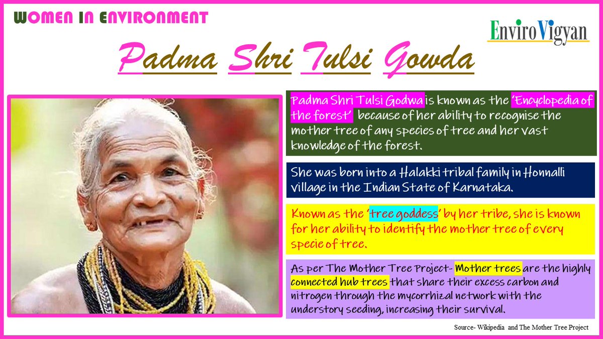 EnviroVigyan's tweet photo. Known as Encyclopedia of the Forest, Environmentalist Tulsi Gowda was awarded Padma Shri in 2021 for her ability to identify the mother tree of any species of tree and for her contribution to the forests.
#womeninenvironment #tulsigodwa #forest #womencontribution #mothertree https://t.co/rFw1bASivy