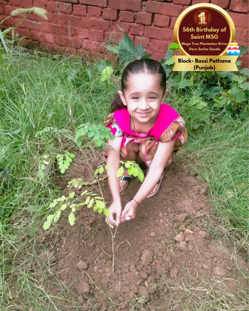 DSSNewsUpdates's tweet photo. Trees contribute to their environment by providing oxygen, 
conserving water, improving air quality, climate amelioration, preserving soil and much more!! The dedicated volunteers of Dera Sacha Sauda are celebrating MSG Bhandara by planting more trees. 

#TreePlantation #SaintDrMSG #DeraSachaSauda #56thBirthdayOfSaintMSG #56thBirthdayWithTreePlantation #15thAugust