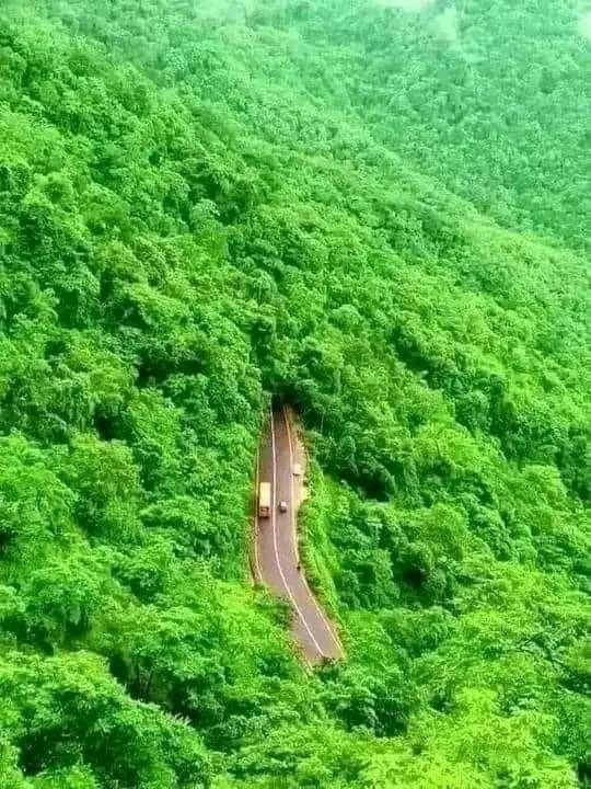 ElyonStrat's tweet photo. This is Africa 🌍

@ElyonStrat https://t.co/CMvXVwffks