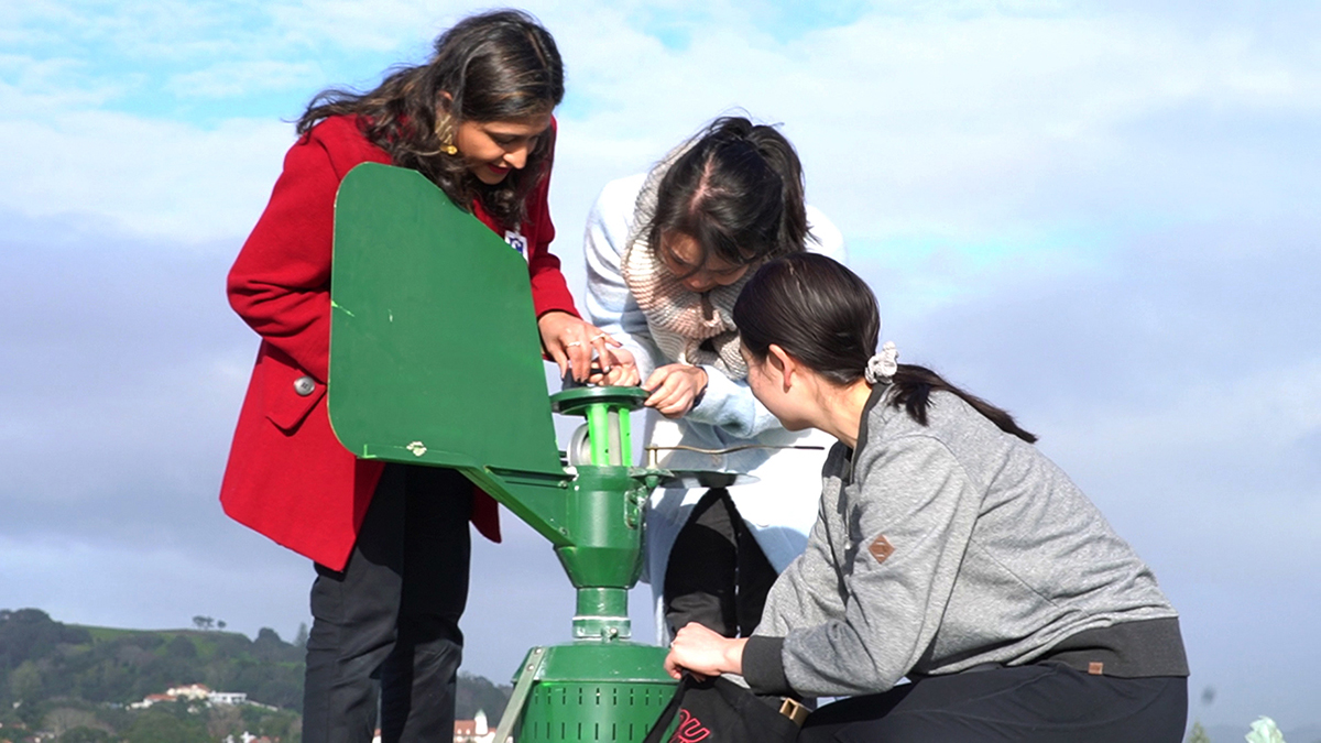 University of Auckland | Waipapa Taumata Rau tweet media