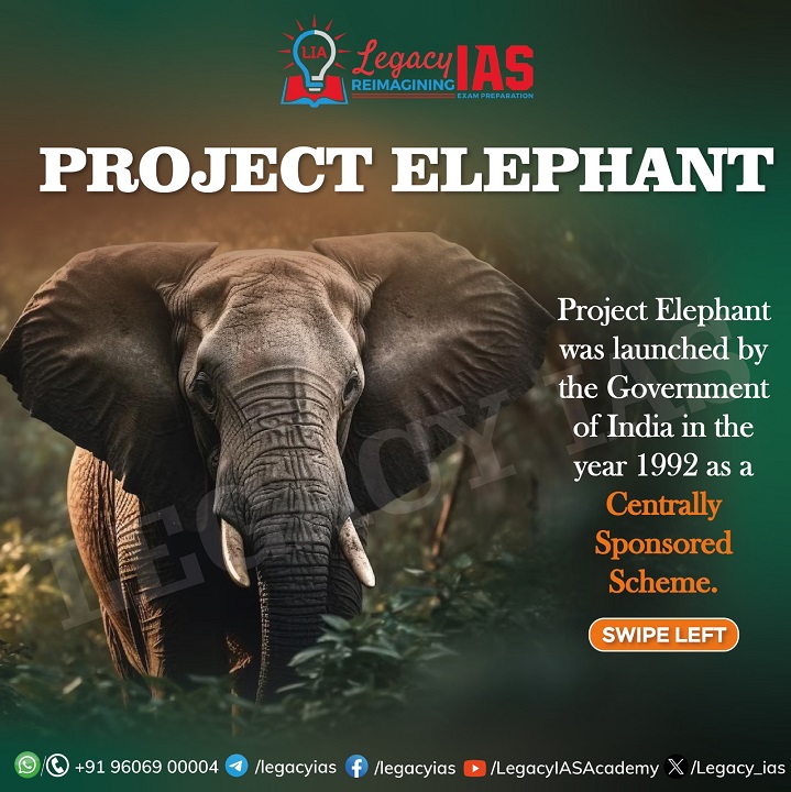 Legacy_ias's tweet photo. Learn about the conservation efforts and objectives undertaken by #ProjectElephant to protect and preserve India's majestic pachyderms.
#projectelephantobjective #projectelephantfacts #elephantsconservation #upscexam #legacyias #WorldElephantDay https://t.co/BCmSmR6eA7