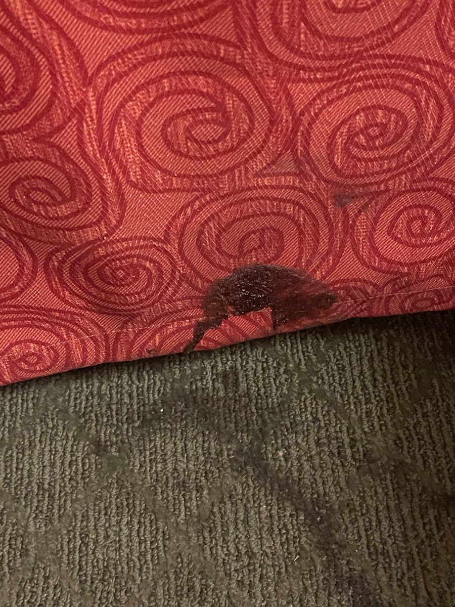 mdilloway tweet media