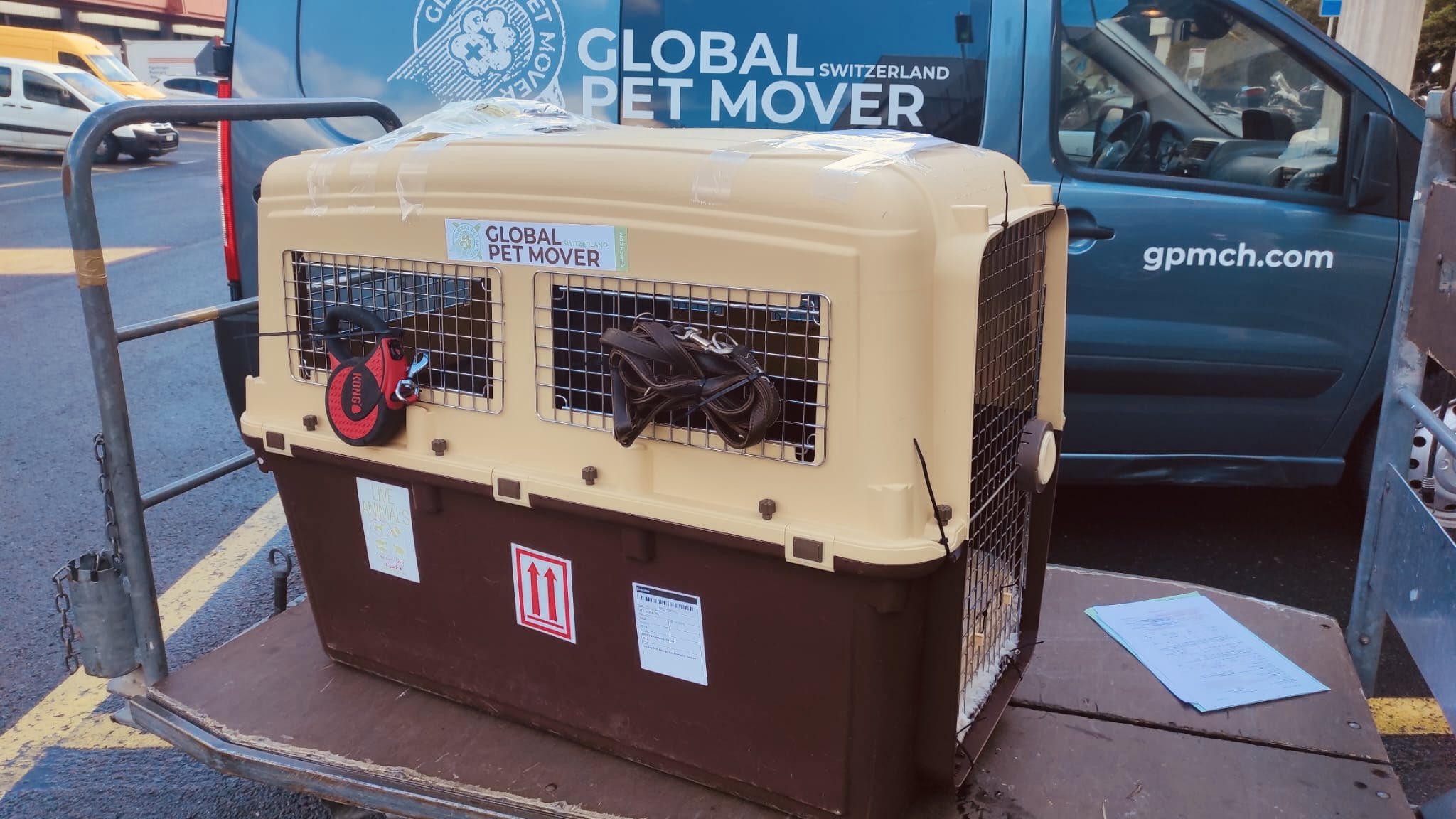 Pet mover online