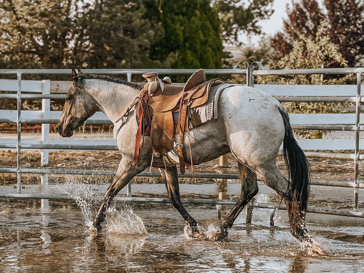 thatloperjessie's tweet image. She sure is a stunner