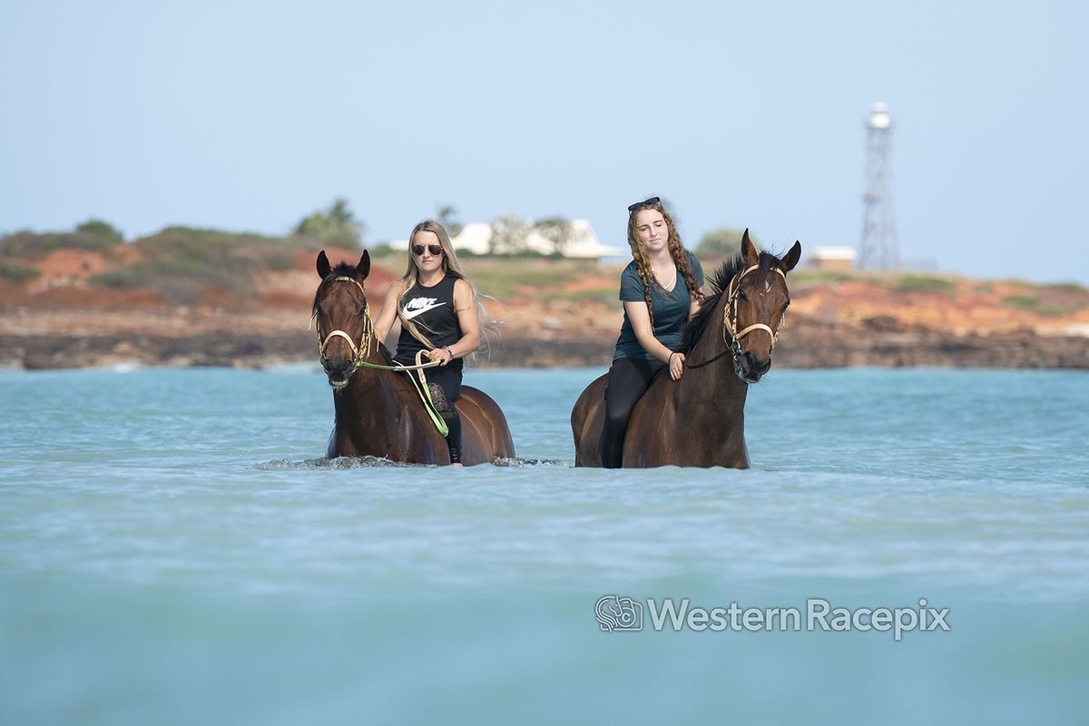 WesternRacepix's tweet photo. Kennedy and Ombudsman having a swim at Gantheaume Point ahead of Saturday's Broome Cup meeting @BroomeTurfClub 

#WesternRacepix #BroomeCupCarnival

More 📸 https://t.co/XhRFkk00xX https://t.co/MOZwOayDiz
