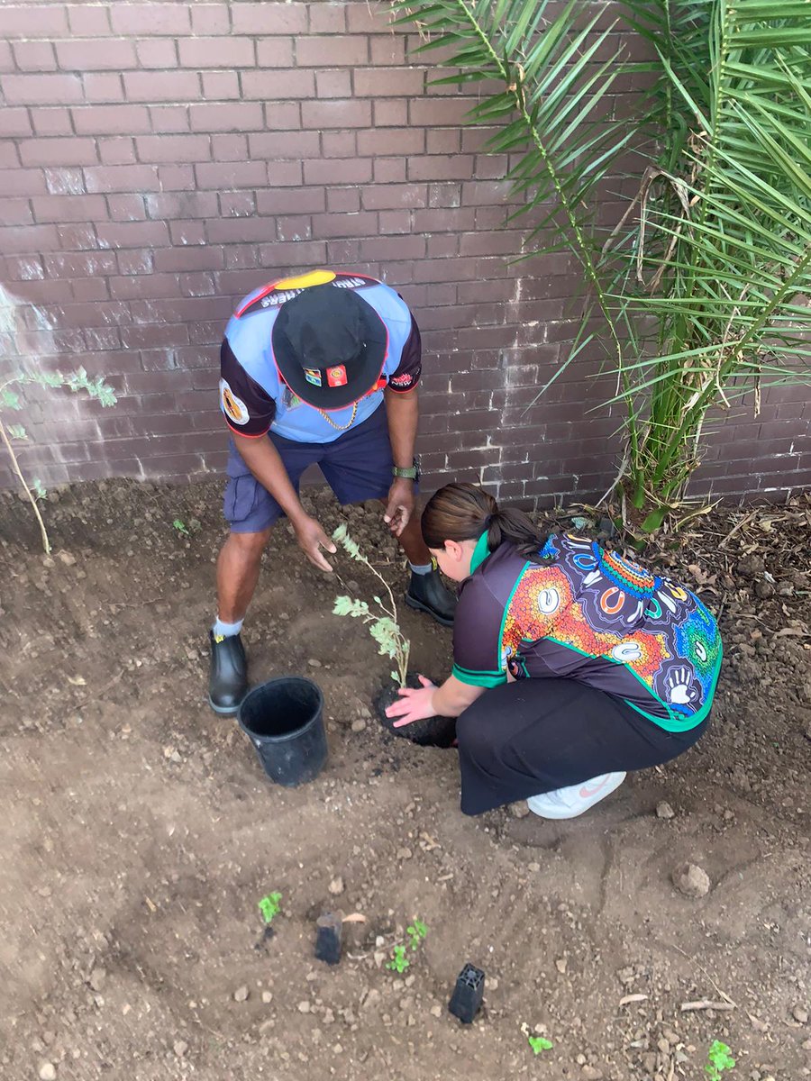 Thank you Strong Fathers for visiting today to help Coreen with the planning &amp; planting of our native garden This was all made possible after receiving funding from the Swarovski Water School Australia Program Plants were purchased through Indigigrow
<a href="/GrowIndigi/">IndigiGrow</a> 
<a href="/earthwatch_org/">Earthwatch</a>