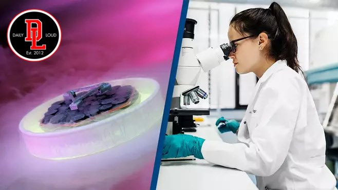 BREAKING: Scientists have discovered the elusive “demon particle” decades after it was first predicted.

Researchers from the University of Illinois Urbana-Champaign have identified a massless particle or “demon particle”, meaning it can form at any temperature, in the metal