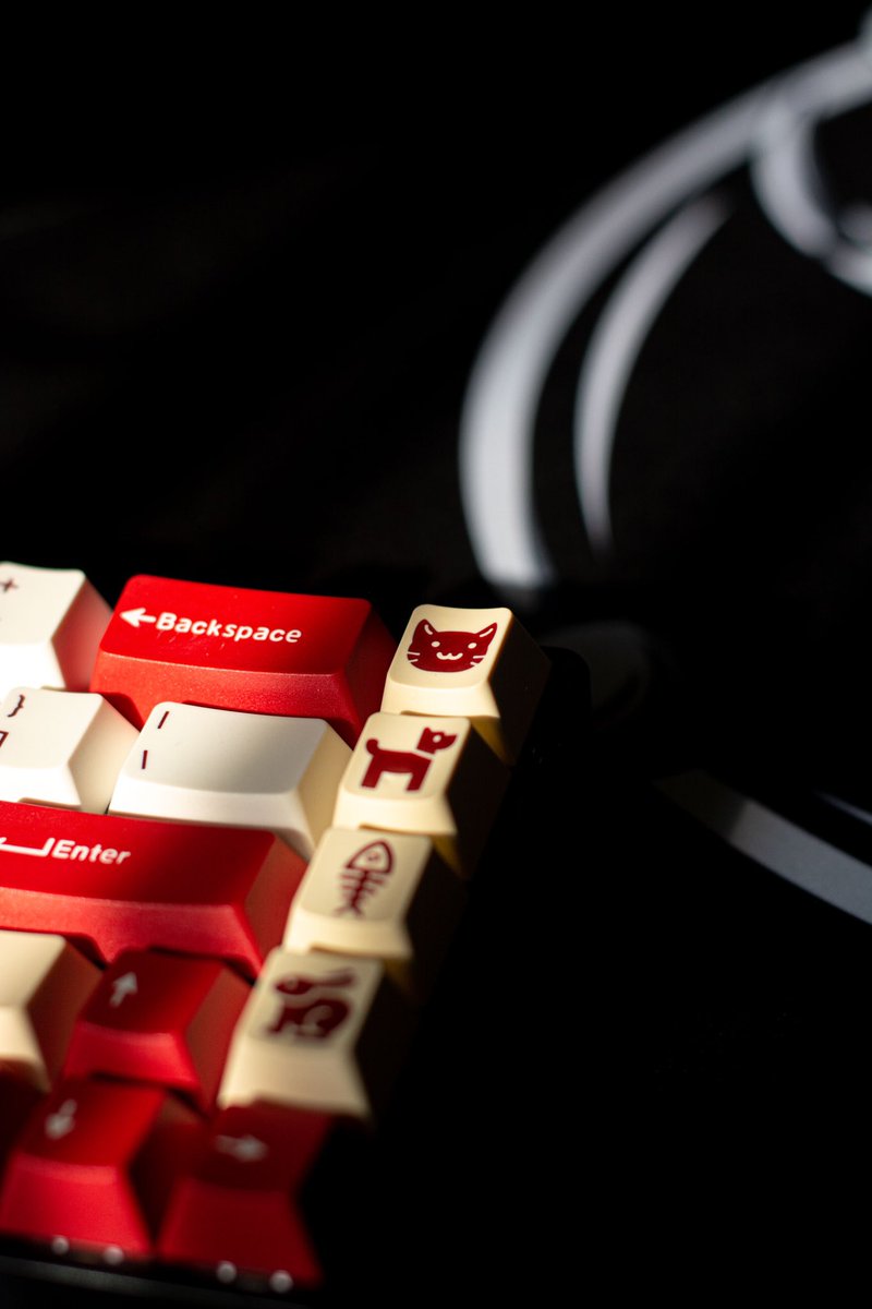 neoskeju's tweet image. RI-78 🇮🇩 Keyboard Mods For Merah Putih Vibes

Keycaps: Fantech Royal Prince Keycaps 
Switch: KTT Kang White, MX Cherry Red (buat model foto doang wkwk)
Barebone: CIY Novice68
Deskmat: Oni Deskmat Galatix

#hutri78 #keyboardcustom #mechanicalkeyboard #keyboardgaming