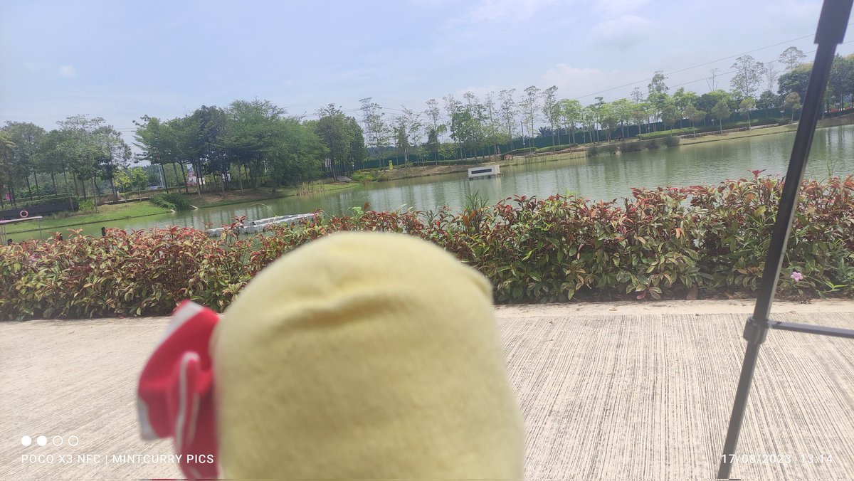 CirnoFumoTan's tweet photo. "Day 17: Is that so?"

Said Rumia, upon finding the fountain turned off as she arrived at the local park. 

#rumia #sonanoka #isthatso #touhou #fumo #plushie #fountain https://t.co/gB7D1mouwO