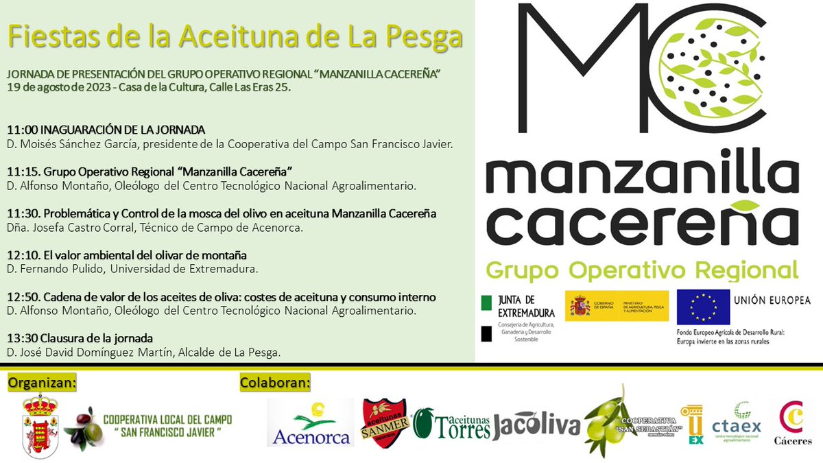 Jornada del #GrupoOperativo #MANZANILLACACEREÑA que trabaja en acciones para la mejora de la rentabilidad del #olivar manzanilla cacereña en Extremadura. 🎯Fiestas de la Aceituna de La Pesga 📅19 agosto 2023 ⌚️11.00h ¡Os esperamos!