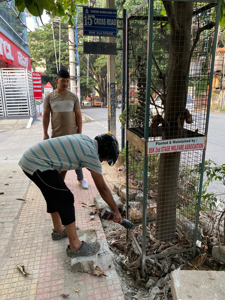 RathaHasiru's tweet photo. Freedom to 4 trees from tree guards on independence day.  #savetrees #environment #bangalore #basavangudi #hasiruratha #tree #saplings #urbanenvironment #treeguard https://t.co/7pwYyV2pNI