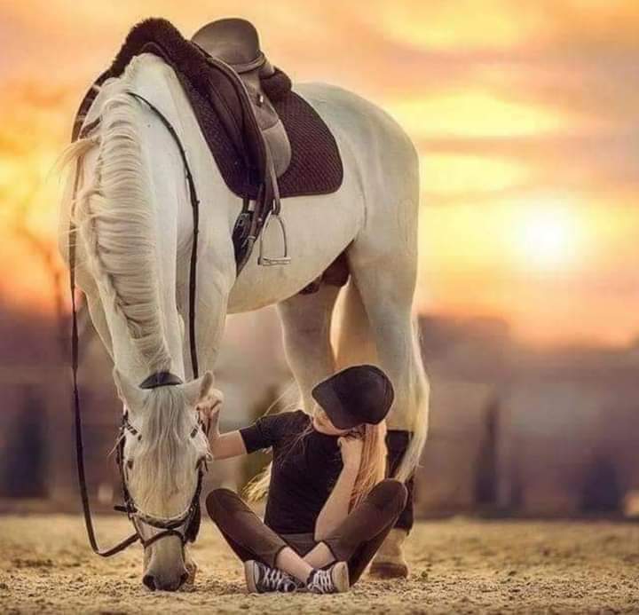 "​​مَا عادَ فِي خَاطِري لَومٌ عَلَى أحدٍ
مَا قيمةُ اللومِ وَالإحسَاسُ قَد فُقِدَا."!

" أُعاتِبُ مَنْ أَهْوى عَلَى قدْرِ وُدّهِ 
  وَلَا وُدَّ عندِي للَذِي لَا أعاتِبُـهْ"