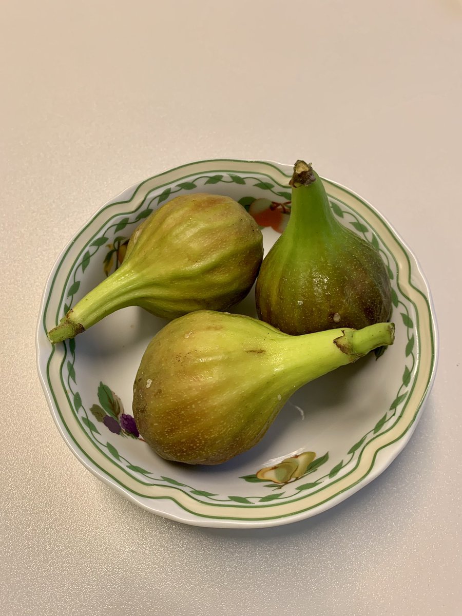 Spirelli79's tweet image. …wenn ein Arbeitstag mit frisch gepflückten Feigen startet…#feigen #liebekollegen #yummie