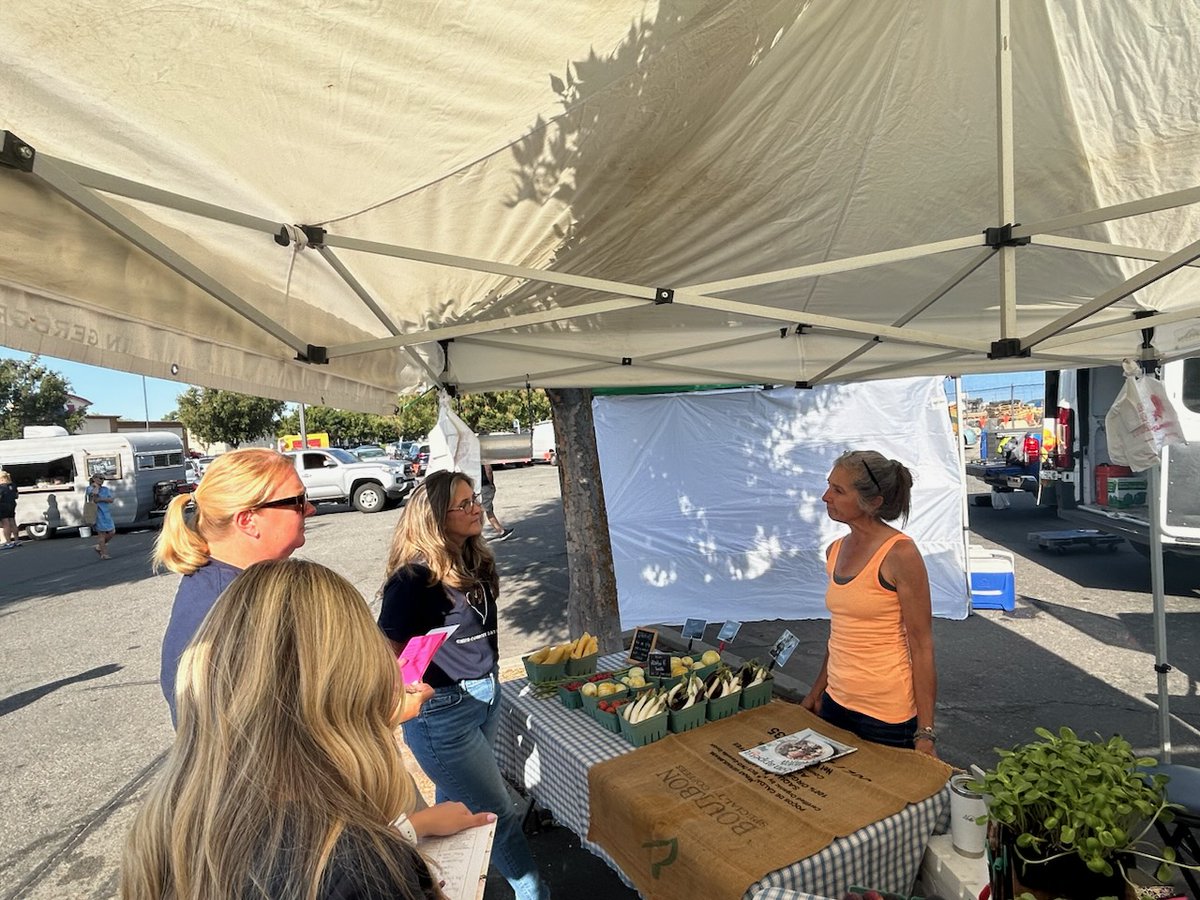 Wendy Fairon tweet media