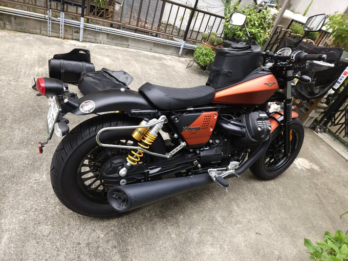 ニョキッ!!
大体1年に1回見れる。 