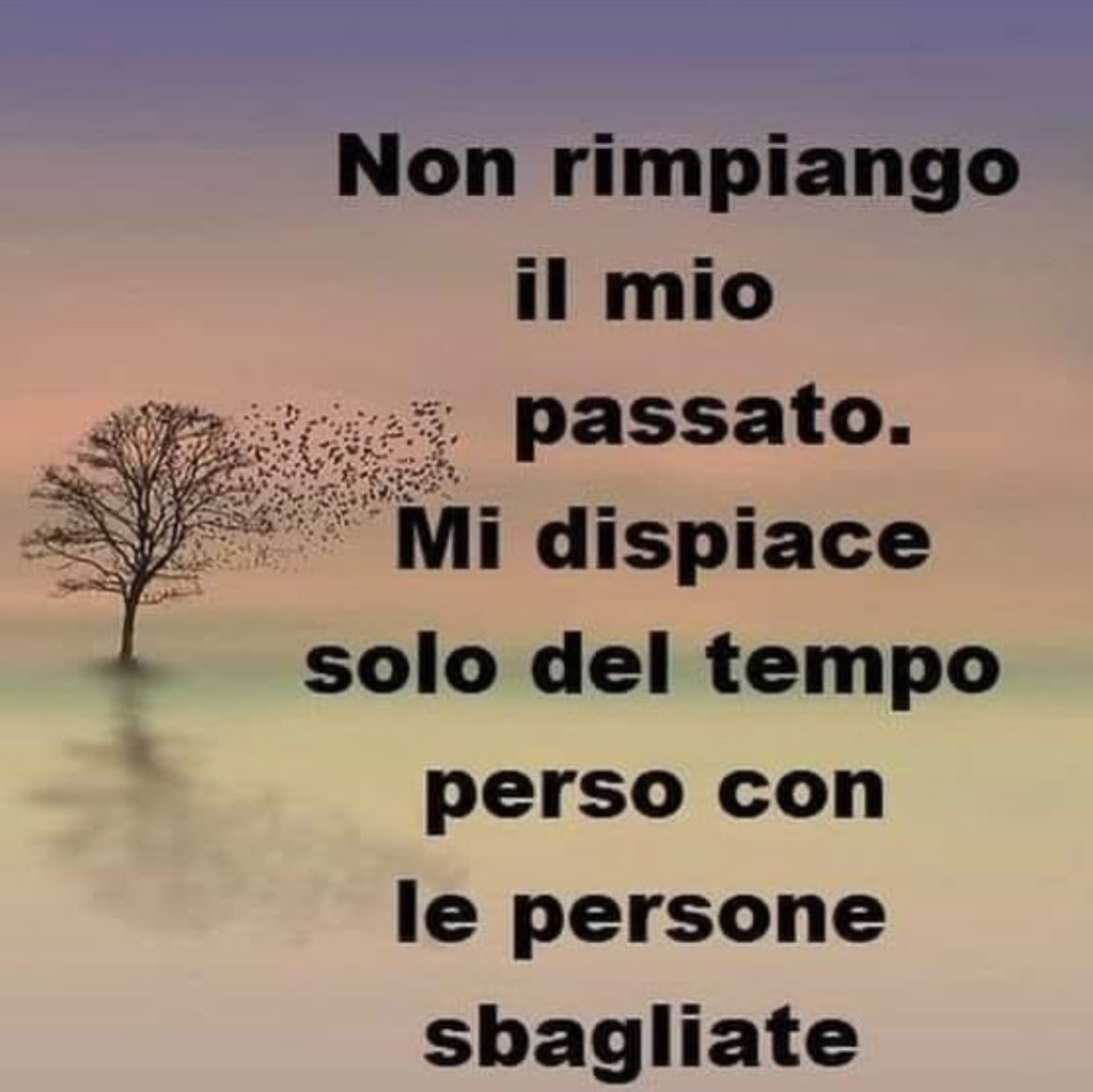 Riflessioni post ferie!!! Così disse il saggio!!!⬇️⬇️⬇️