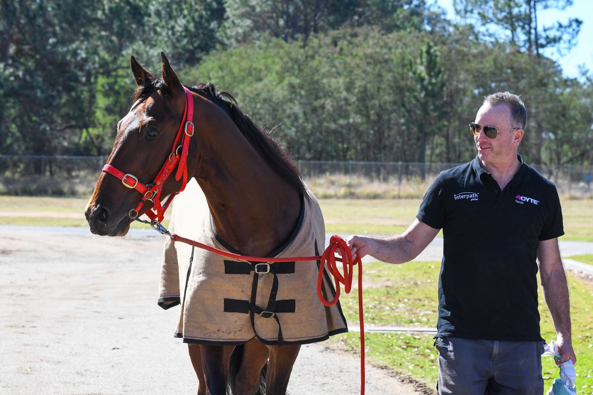 Club Menangle (@clubmenangle) on Twitter photo The field has arrived into the Retention Barn for #TheSingo!✨
View the entire album: bit.ly/3OHTiwW
<a href="/HRNSW_Harness/">Harness Racing NSW</a> <a href="/eurekarace/">The TAB Eureka</a> <a href="/TheTrotsComAu/">The Trots</a> <a href="/TasracingAus/">Tasracing Australia</a> <a href="/Mattiejcraven/">Matthew Craven</a> <a href="/mattiecravenra1/">mattiecravenracing</a> The field has arrived into the Retention Barn for #TheSingo!✨
View the entire album: bit.ly/3OHTiwW
<a href="/HRNSW_Harness/">Harness Racing NSW</a> <a href="/eurekarace/">The TAB Eureka</a> <a href="/TheTrotsComAu/">The Trots</a> <a href="/TasracingAus/">Tasracing Australia</a> <a href="/Mattiejcraven/">Matthew Craven</a> <a href="/mattiecravenra1/">mattiecravenracing</a>