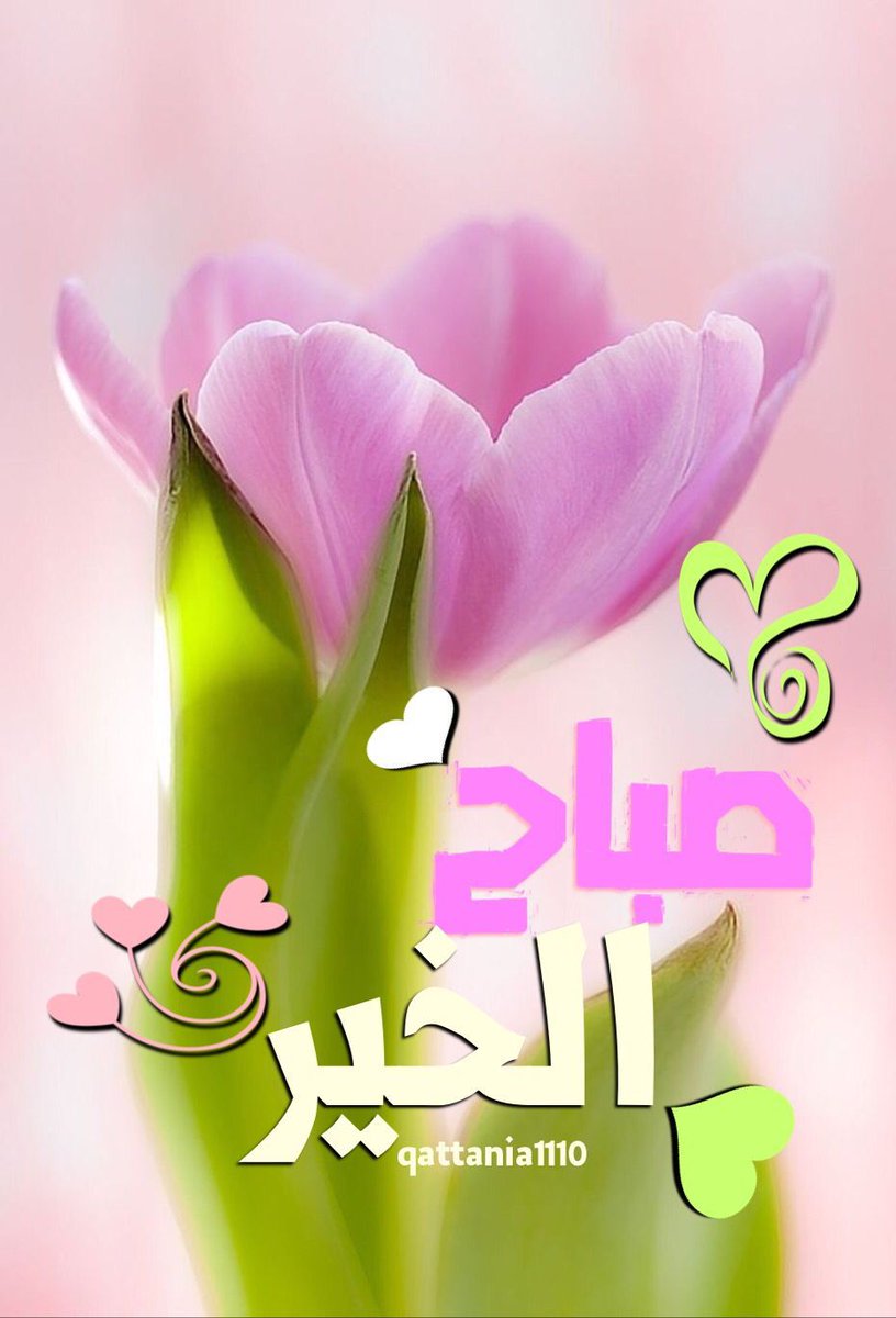 عطر (@a_t_r_90) on Twitter photo 