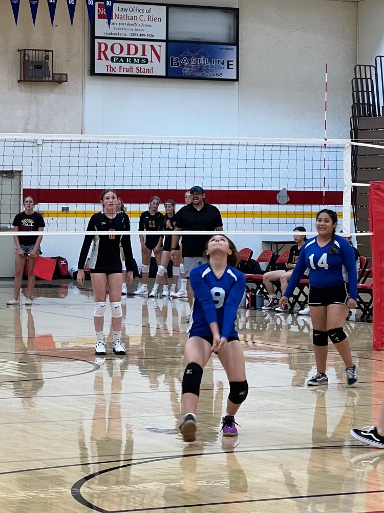 Highlights from Girls Volleyball as they have begun their Fall 2023 season with their scrimmages last night against Turlock Christian, and earlier this evening against Oakdale. The Lady finished strong against the mustangs earlier this evening at all levels. 

Go Wildcats!!!!!!!
