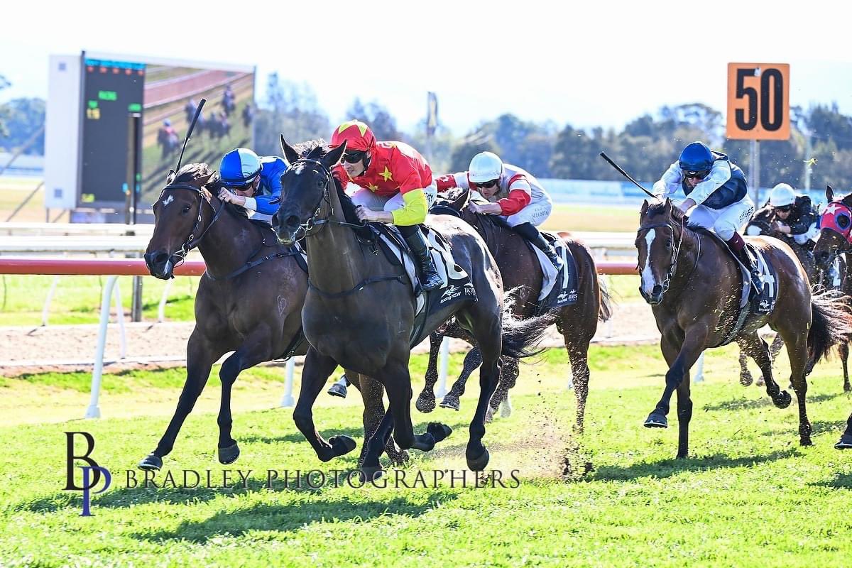 MattVella_RS's tweet photo. Great winning double for @SnowdenRacing1 & my Great Clients @Chinahorseclub with #HamptonQueen & #AugustBloom posting fantastic wins at Hawkesbury today on Rowley Mile Day. Both horses were impressive whilst coming through our Breaker/Education system.💛❤️🤍
#TrustTheSystem https://t.co/hlDmCki5vh
