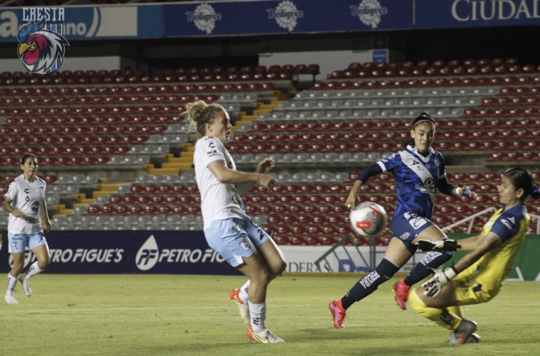 Cresta_Oficial's tweet photo. #Crestacam @GallosFemenil 3 🆚 Puebla
Fotografías @AlERXRob
#OrgulloDeGallo #TeamCresta #siempregallos🐔 https://t.co/PxrqR77j3h